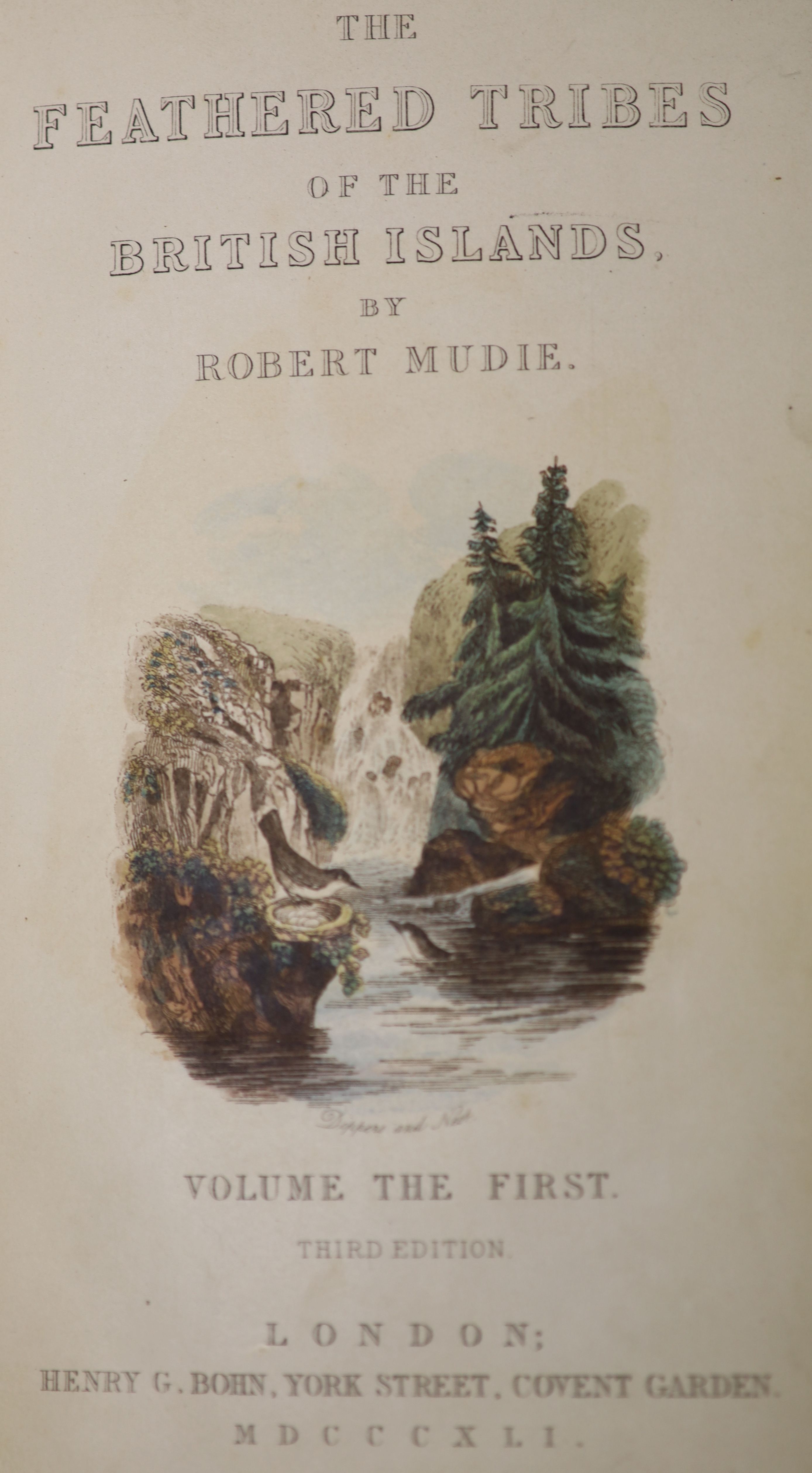 Mudie, Robert - The Feathered Tribes of the British Isles, 3rd edition, 2 vols, with frontispieces and 28 hand-coloured plates, Henry Bonn, London, 1841